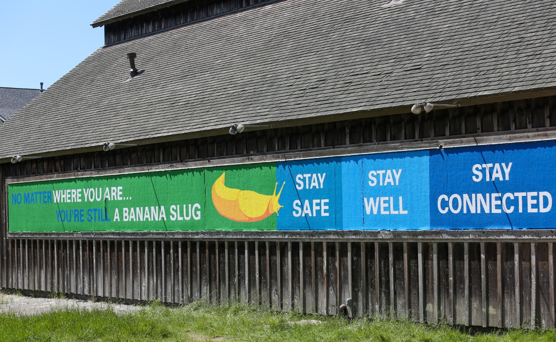 Photo of campus mural at entrance that states, "No matter where you are, you are still a banana slug. Stay safe. Stay well. Stay connected."